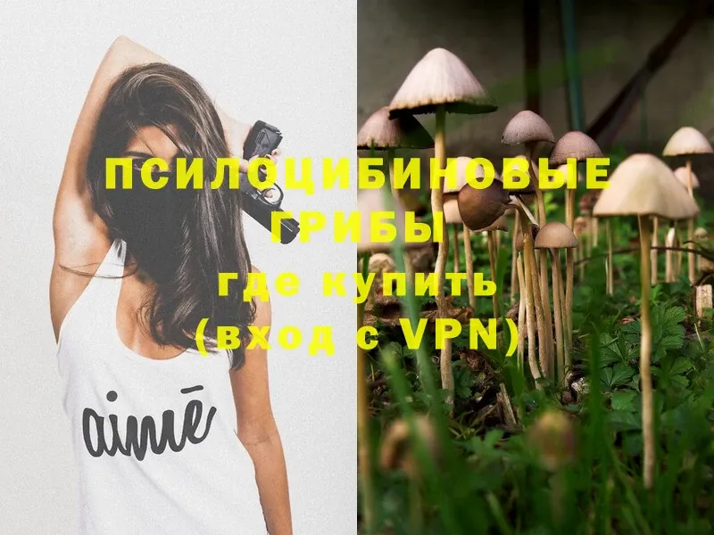 Галлюциногенные грибы Magic Shrooms  Тында 